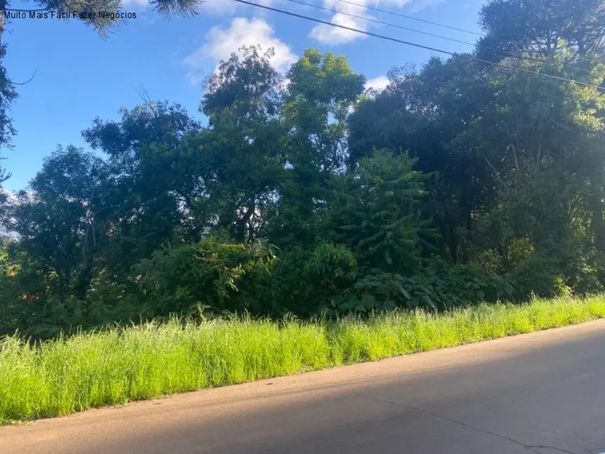 Terreno / Lote à venda, 615m2 em Nova Petropolis - RS - imagem 3 Foto 3 de Terreno / Lote à venda, 615m2 em Nova Petropolis - RS