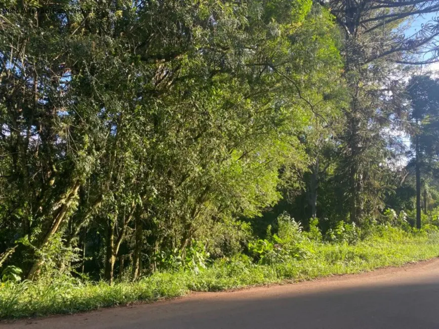 Foto 1 de Terreno / Lote à venda, 615m2 em Nova Petropolis - RS