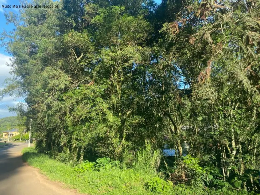 Foto 2 de Terreno / Lote à venda, 668m2 em Nova Petropolis - RS