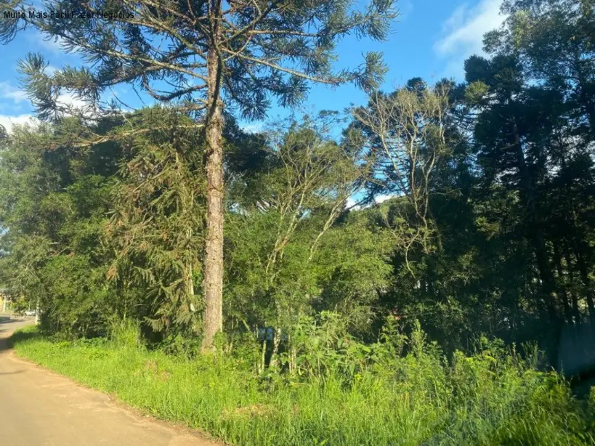 Foto 1 de Terreno / Lote à venda, 917m2 em Nova Petropolis - RS