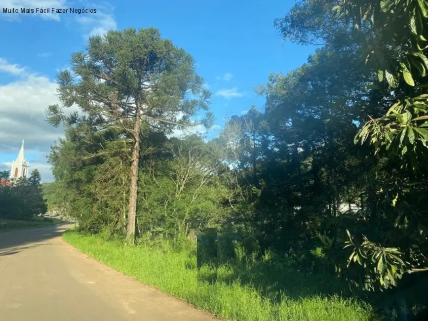 Foto 2 de Terreno / Lote à venda, 917m2 em Nova Petropolis - RS