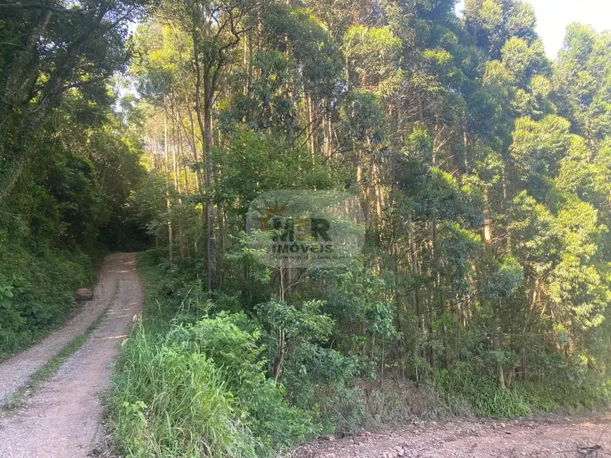 Foto 1 de Terreno / Lote à venda em Nova Petropolis - RS