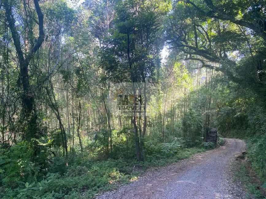 Terreno / Lote à venda em Nova Petropolis - RS - imagem 5 Foto 5 de Terreno / Lote à venda em Nova Petropolis - RS