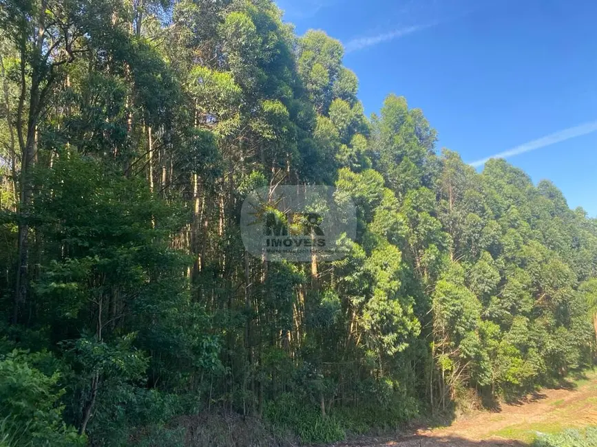 Foto 2 de Terreno / Lote à venda em Nova Petropolis - RS