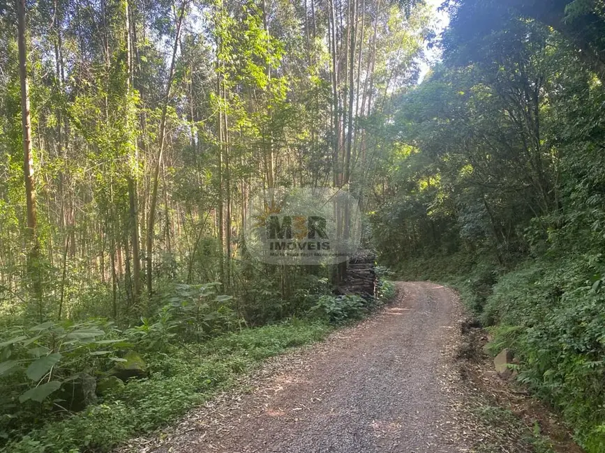 Terreno / Lote à venda em Nova Petropolis - RS - imagem 4 Foto 4 de Terreno / Lote à venda em Nova Petropolis - RS