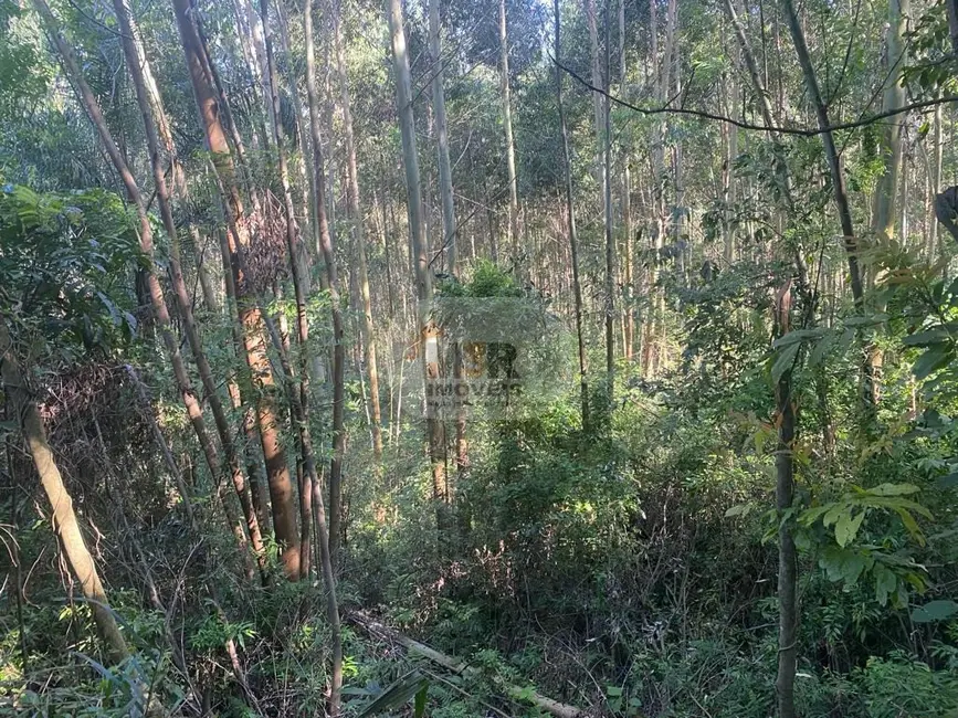 Terreno / Lote à venda em Nova Petropolis - RS - imagem 3 Foto 3 de Terreno / Lote à venda em Nova Petropolis - RS
