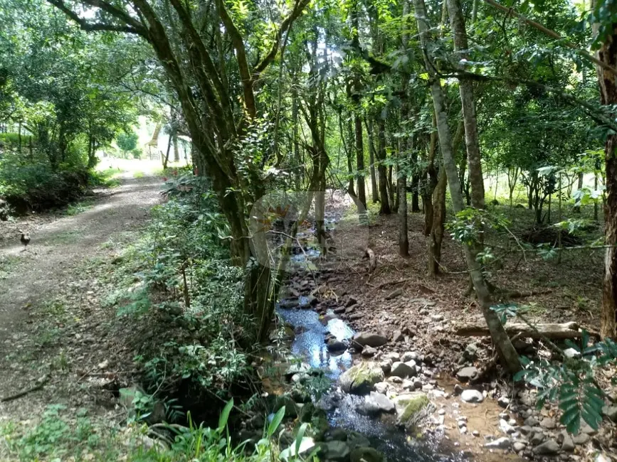 Terreno / Lote à venda em Nova Petropolis - RS - imagem 5 Foto 5 de Terreno / Lote à venda em Nova Petropolis - RS