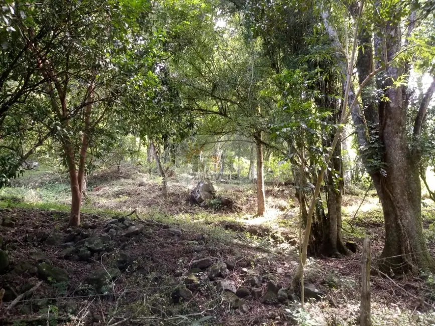 Terreno / Lote à venda em Nova Petropolis - RS - imagem 8 Foto 8 de Terreno / Lote à venda em Nova Petropolis - RS