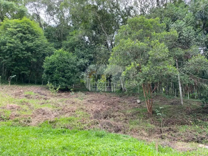 Terreno / Lote à venda em Nova Petropolis - RS - imagem 9 Foto 9 de Terreno / Lote à venda em Nova Petropolis - RS