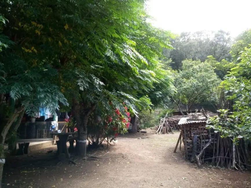 Sítio / Rancho com 4 quartos à venda, 99m2 em Nova Petropolis - RS - imagem 6 Foto 6 de Sítio / Rancho com 4 quartos à venda, 99m2 em Nova Petropolis - RS