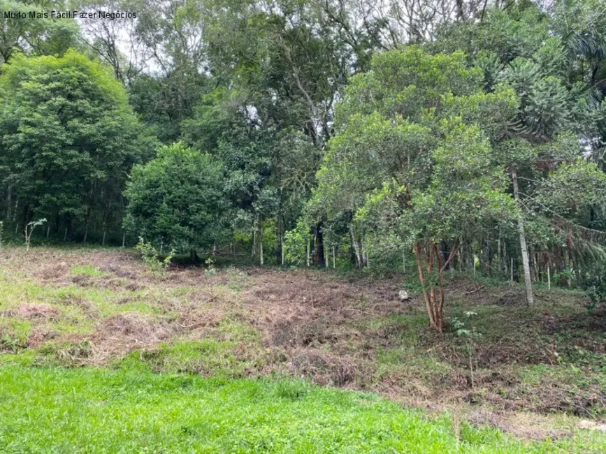 Sítio / Rancho com 4 quartos à venda, 99m2 em Nova Petropolis - RS - imagem 7 Foto 7 de Sítio / Rancho com 4 quartos à venda, 99m2 em Nova Petropolis - RS