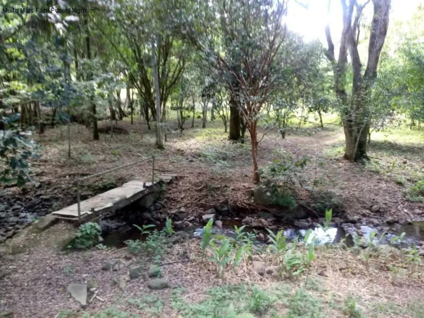 Sítio / Rancho com 4 quartos à venda, 99m2 em Nova Petropolis - RS - imagem 8 Foto 8 de Sítio / Rancho com 4 quartos à venda, 99m2 em Nova Petropolis - RS