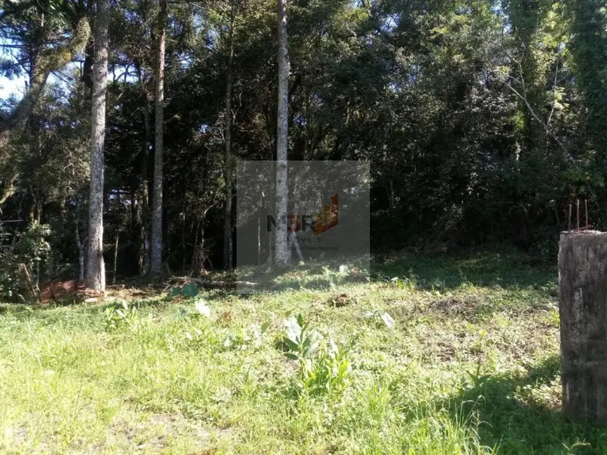 Foto 3 de Terreno / Lote à venda, 50m2 em Nova Petropolis - RS