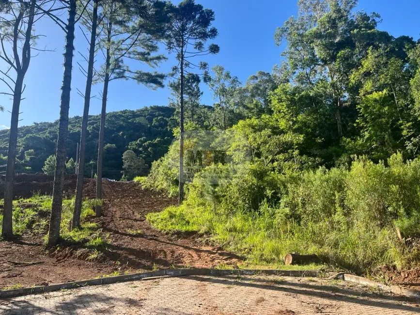 Terreno / Lote à venda, 782m2 em Nova Petropolis - RS - imagem 6 Foto 6 de Terreno / Lote à venda, 782m2 em Nova Petropolis - RS