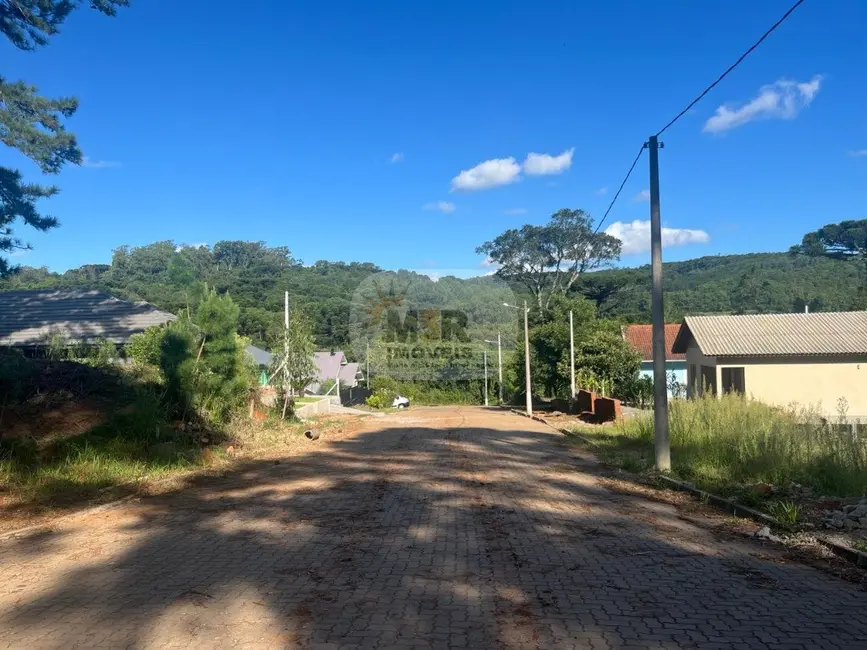 Terreno / Lote à venda, 782m2 em Nova Petropolis - RS - imagem 8 Foto 8 de Terreno / Lote à venda, 782m2 em Nova Petropolis - RS