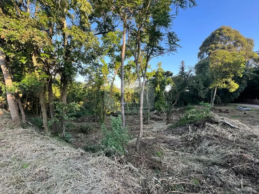 Terreno / Lote à venda, 2604m2 em Nova Petropolis - RS - imagem 2 Foto 2 de Terreno / Lote à venda, 2604m2 em Nova Petropolis - RS