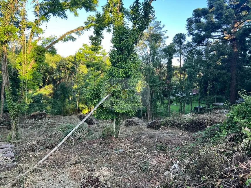 Terreno / Lote à venda, 2604m2 em Nova Petropolis - RS - imagem 4 Foto 4 de Terreno / Lote à venda, 2604m2 em Nova Petropolis - RS