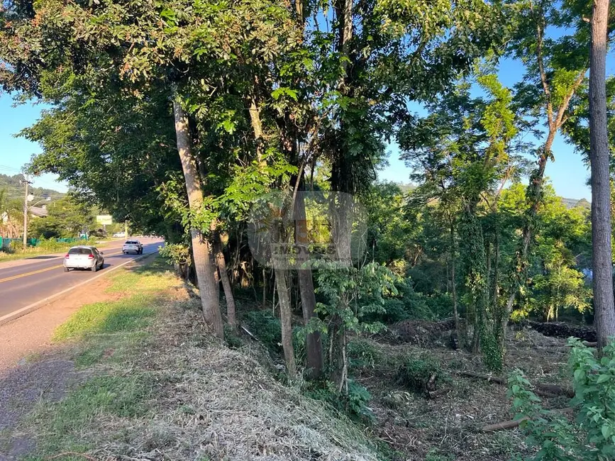 Terreno / Lote à venda, 2604m2 em Nova Petropolis - RS - imagem 1 Foto 1 de Terreno / Lote à venda, 2604m2 em Nova Petropolis - RS