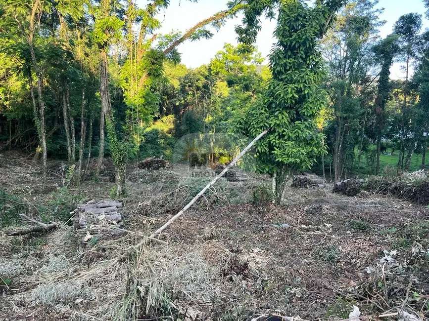 Terreno / Lote à venda, 2604m2 em Nova Petropolis - RS - imagem 5 Foto 5 de Terreno / Lote à venda, 2604m2 em Nova Petropolis - RS