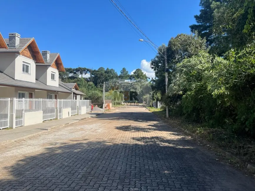 Foto 4 de Casa com 2 quartos à venda, 109m2 em Nova Petropolis - RS