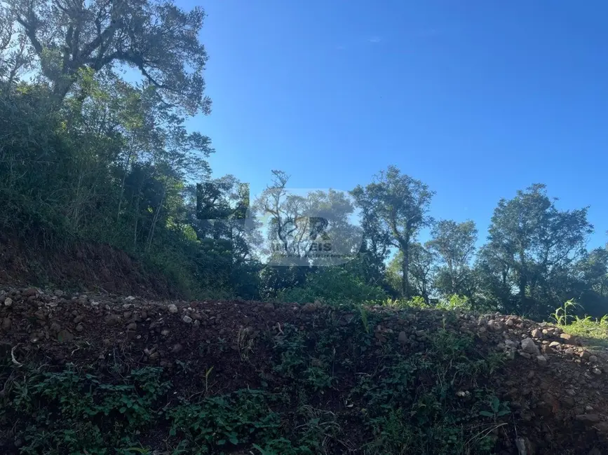 Foto 2 de Terreno / Lote à venda, 360m2 em Nova Petropolis - RS