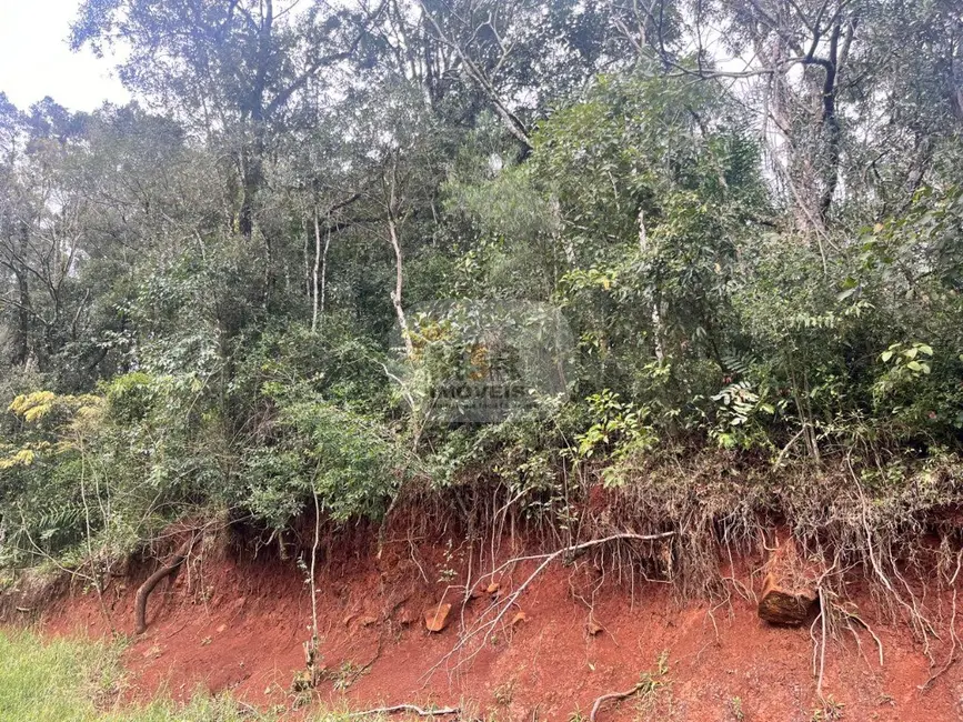 Foto 2 de Terreno / Lote à venda, 657m2 em Nova Petropolis - RS