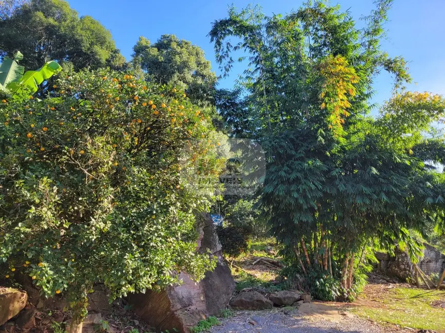 Sítio / Rancho com 2 quartos à venda, 80m2 em Nova Petropolis - RS - imagem 8 Foto 8 de Sítio / Rancho com 2 quartos à venda, 80m2 em Nova Petropolis - RS