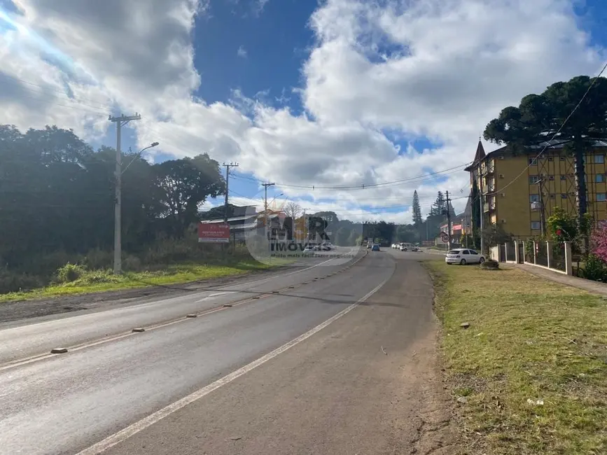Armazém / Galpão para alugar, 300m2 em Nova Petropolis - RS - imagem 4 Foto 4 de Armazém / Galpão para alugar, 300m2 em Nova Petropolis - RS