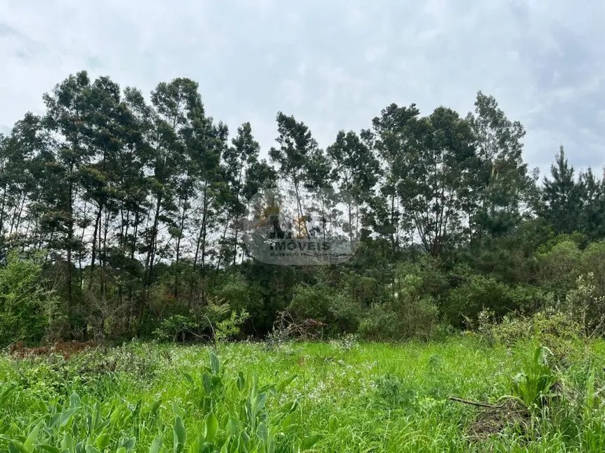 Sítio / Rancho com 2 quartos à venda, 70m2 em Nova Petropolis - RS - imagem 8 Foto 8 de Sítio / Rancho com 2 quartos à venda, 70m2 em Nova Petropolis - RS