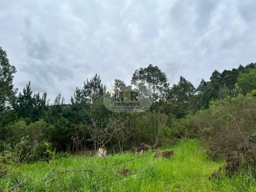 Sítio / Rancho com 2 quartos à venda, 70m2 em Nova Petropolis - RS - imagem 7 Foto 7 de Sítio / Rancho com 2 quartos à venda, 70m2 em Nova Petropolis - RS