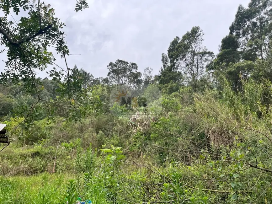 Sítio / Rancho com 2 quartos à venda, 70m2 em Nova Petropolis - RS - imagem 5 Foto 5 de Sítio / Rancho com 2 quartos à venda, 70m2 em Nova Petropolis - RS
