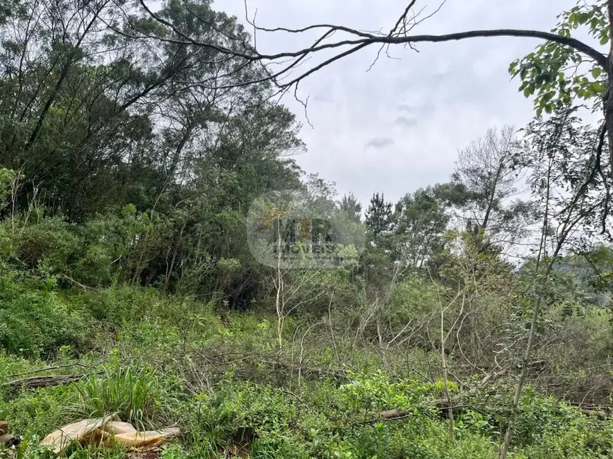 Sítio / Rancho com 2 quartos à venda, 70m2 em Nova Petropolis - RS - imagem 6 Foto 6 de Sítio / Rancho com 2 quartos à venda, 70m2 em Nova Petropolis - RS