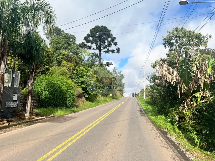 Casa com 2 quartos para alugar, 120m2 em Nova Petropolis - RS - imagem 6 Foto 6 de Casa com 2 quartos para alugar, 120m2 em Nova Petropolis - RS