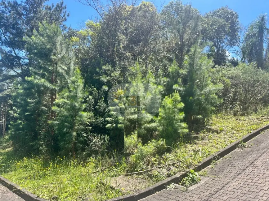 Foto 1 de Terreno / Lote à venda, 450m2 em Nova Petropolis - RS