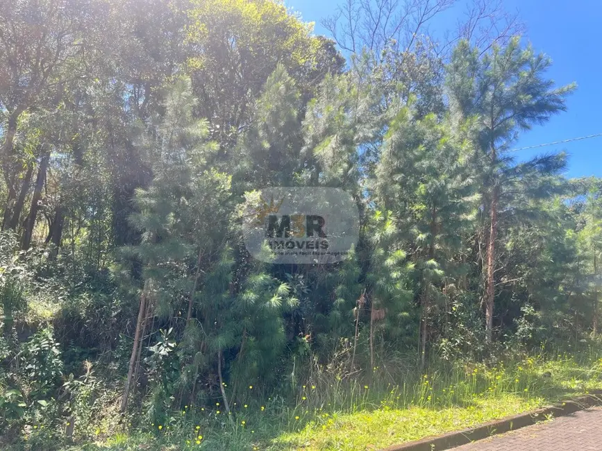 Terreno / Lote à venda, 450m2 em Nova Petropolis - RS - imagem 3 Foto 3 de Terreno / Lote à venda, 450m2 em Nova Petropolis - RS