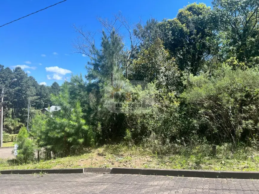 Terreno / Lote à venda, 450m2 em Nova Petropolis - RS - imagem 2 Foto 2 de Terreno / Lote à venda, 450m2 em Nova Petropolis - RS