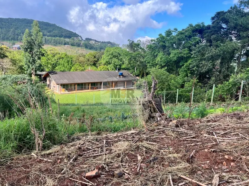 Terreno / Lote à venda, 450m2 em Nova Petropolis - RS - imagem 4 Foto 4 de Terreno / Lote à venda, 450m2 em Nova Petropolis - RS