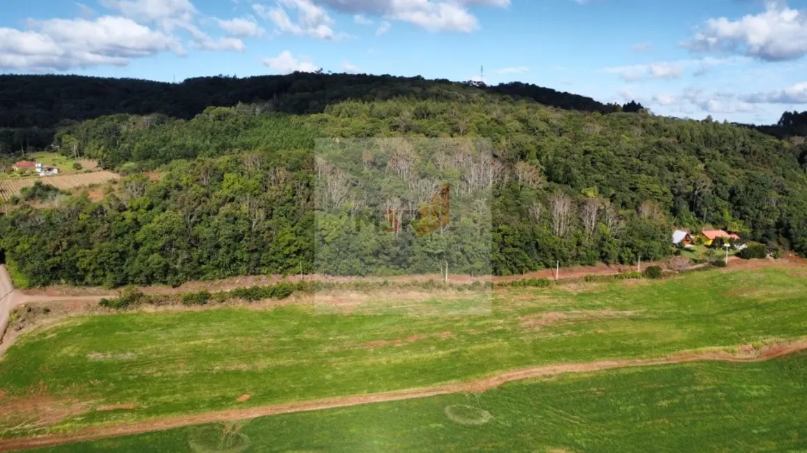 Foto 4 de Sítio / Rancho com 3 quartos à venda, 150m2 em Nova Petropolis - RS