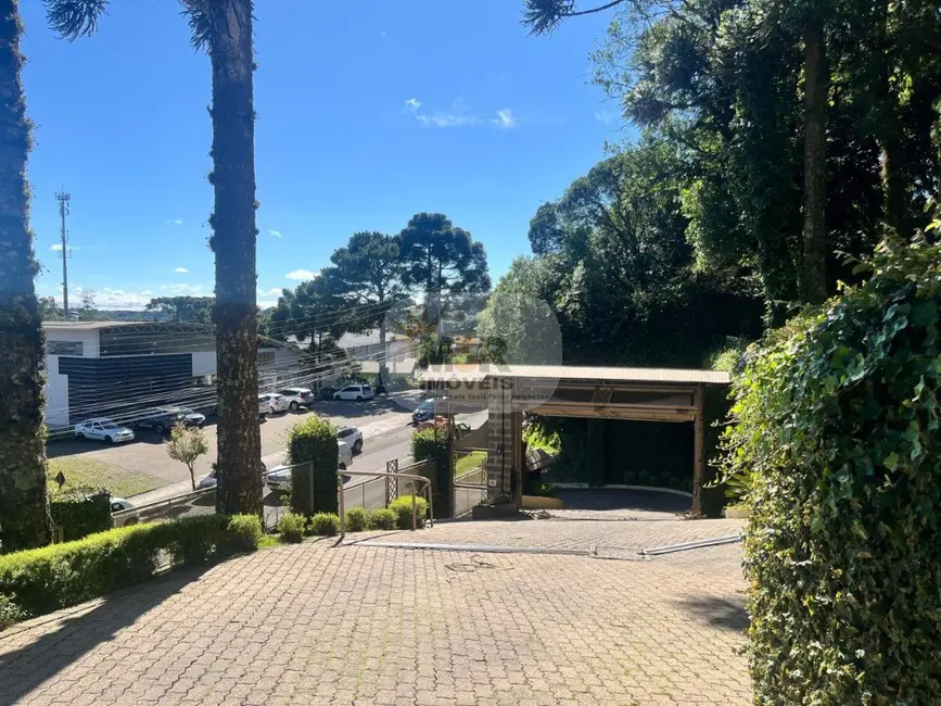 Apartamento com 1 quarto à venda e para alugar, 41m2 em Centro, Gramado - RS - imagem 3 Foto 3 de Apartamento com 1 quarto à venda e para alugar, 41m2 em Centro, Gramado - RS