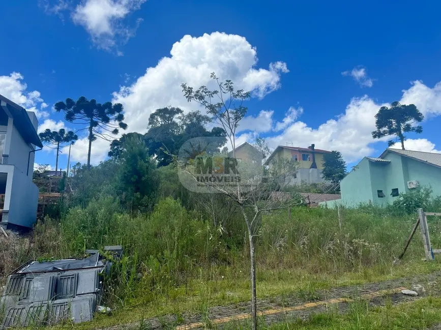 Foto 1 de Terreno / Lote à venda, 371m2 em Nova Petropolis - RS