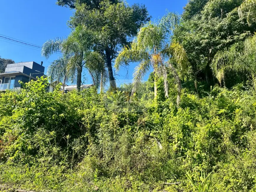 Foto 2 de Terreno / Lote à venda, 480m2 em Nova Petropolis - RS