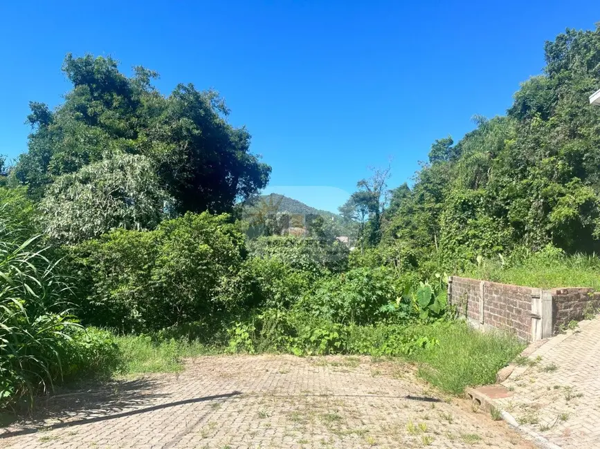 Casa com 2 quartos à venda, 80m2 em Nova Petropolis - RS - imagem 3 Foto 3 de Casa com 2 quartos à venda, 80m2 em Nova Petropolis - RS