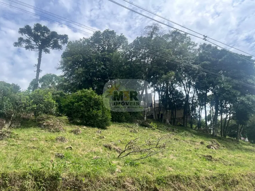 Foto 1 de Terreno / Lote à venda, 1477m2 em Nova Petropolis - RS