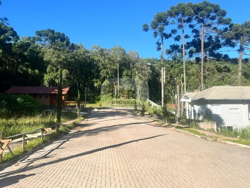 Terreno / Lote à venda, 378m2 em Nova Petropolis - RS - imagem 4 Foto 4 de Terreno / Lote à venda, 378m2 em Nova Petropolis - RS