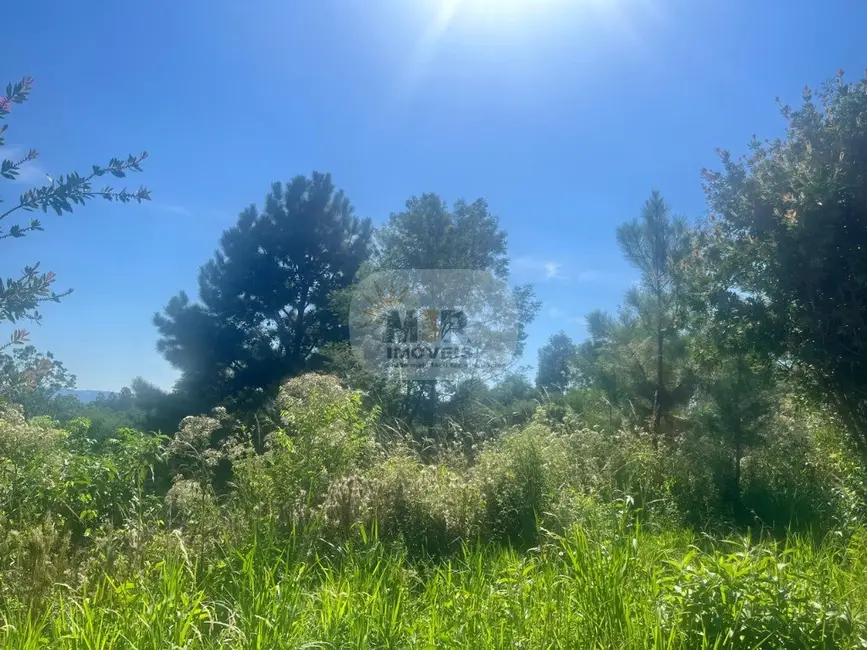 Foto 2 de Terreno / Lote à venda, 410m2 em Nova Petropolis - RS