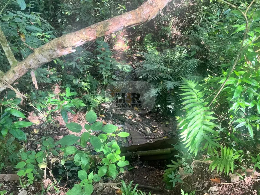 Terreno / Lote à venda, 370m2 em Picada Cafe - RS - imagem 9 Foto 9 de Terreno / Lote à venda, 370m2 em Picada Cafe - RS