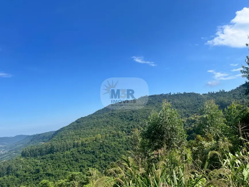 Terreno / Lote à venda, 370m2 em Picada Cafe - RS - imagem 1 Foto 1 de Terreno / Lote à venda, 370m2 em Picada Cafe - RS