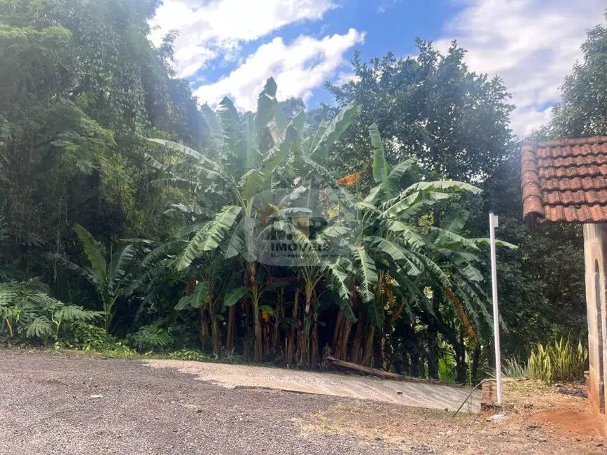 Terreno / Lote à venda, 370m2 em Picada Cafe - RS - imagem 5 Foto 5 de Terreno / Lote à venda, 370m2 em Picada Cafe - RS