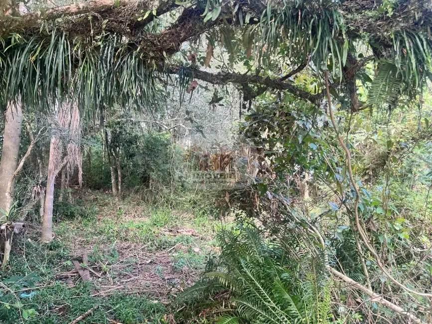 Terreno / Lote à venda, 1050m2 em Nova Petropolis - RS - imagem 4 Foto 4 de Terreno / Lote à venda, 1050m2 em Nova Petropolis - RS