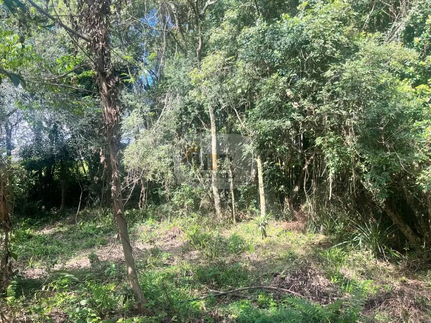 Terreno / Lote à venda, 1050m2 em Nova Petropolis - RS - imagem 3 Foto 3 de Terreno / Lote à venda, 1050m2 em Nova Petropolis - RS